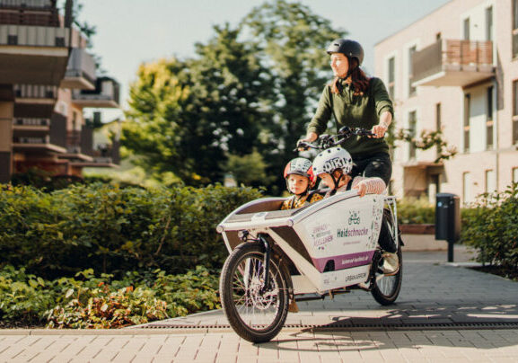 Heidschnucke-768×404 Foto Nicole Laka